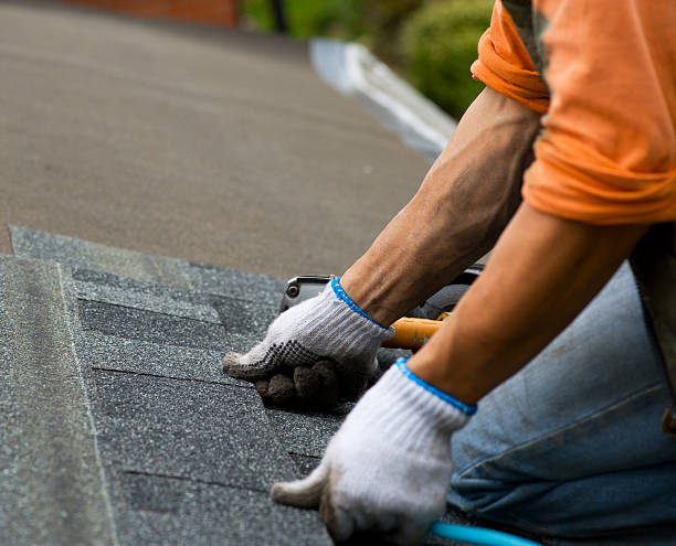 Best Storm Damage Roof Repair  in Lawrenceville, VA